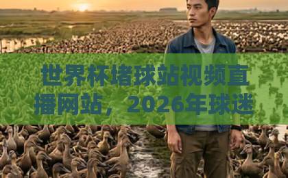 世界杯堵球站视频直播网站,2026年球迷必看避坑指南【世界杯堵球站】 世界杯堵球站视频直播网站,2026年球迷必看避坑指南【世界杯堵球站】