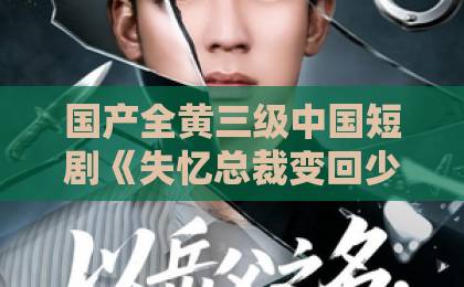 国产全黄三级中国短剧《失忆总裁变回少年暗恋我》，甜宠新赛道为何让人一秒上头？【深度解析】国产中年丰满熟妇女人精品视频高潮大集合
